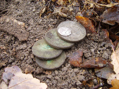 秋林背景上的旧硬币Name在秋森图片