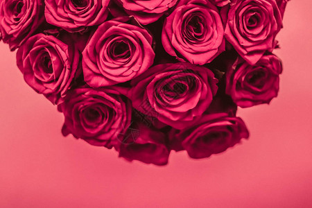 盛开的玫瑰鲜花和情人节礼物的概念图片