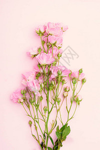 美丽的粉红玫瑰花束图片