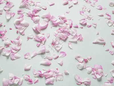 许多粉红色的玫瑰花瓣花组成玫瑰花瓣平图片