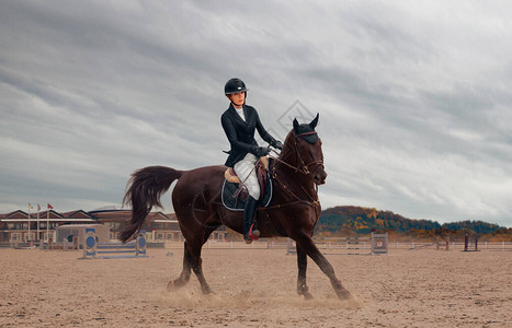 马术骑马的女人图片