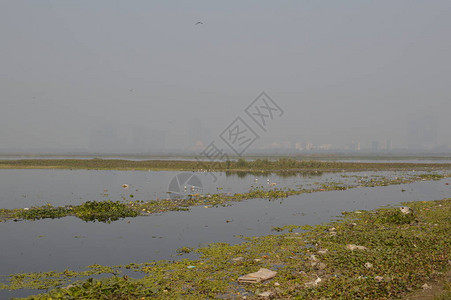 德里水污染和垃圾处理水污染图片