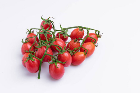 葡萄或樱桃番茄树枝白本孤立的图片