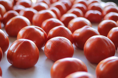 红西番茄和圆番茄图片