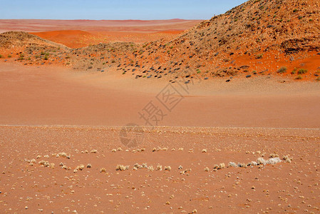 仙界纳米布沙漠中的仙女圈直径从12英尺到114英尺不等背景