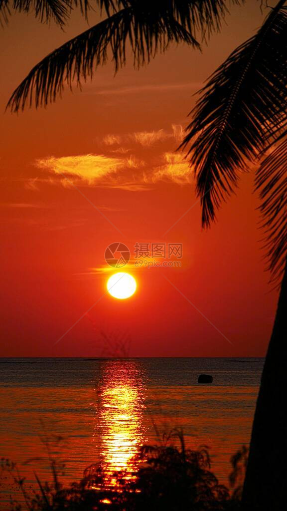 火焰日落的魔幻色彩海中反射和椰图片