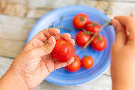 拿着樱桃西红柿的手图片