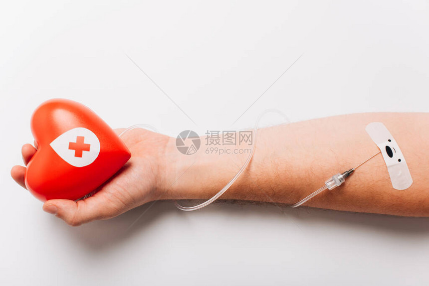红心雄手和白导管献血概念的红色心图片