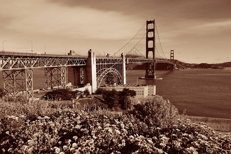 旧金山门大桥有黑白花朵图片