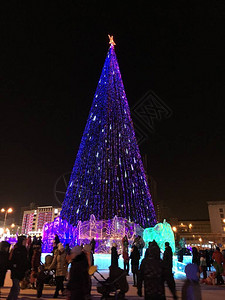 圣诞节礼物圣诞树冬天雪俄罗斯的冬天图片