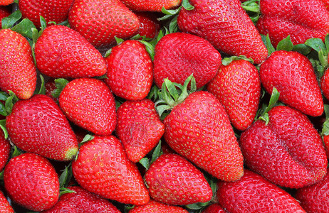 许多成熟的草莓在春背景图片