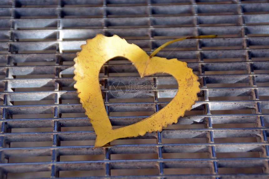 一颗心形的黄色秋叶躺在铁阶上图片