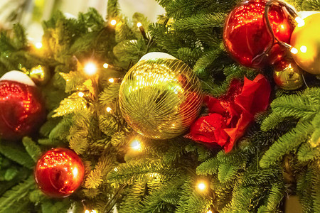 明亮的圣诞设计金球多彩红色花环蓬松枞树背景节日图片
