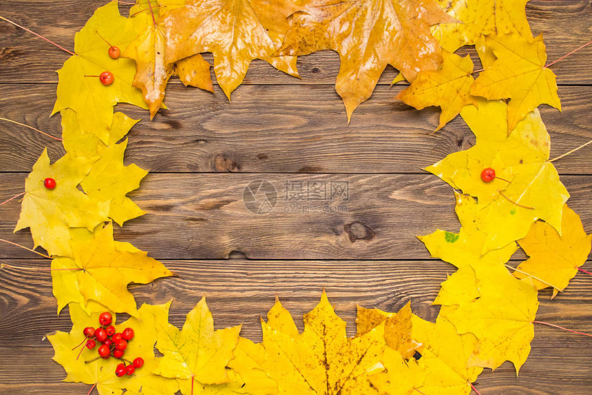 黄色和橙色的枫叶与红色小苹果和深棕色木桌背景上的ashberry叶子的长方形框架秋天图片