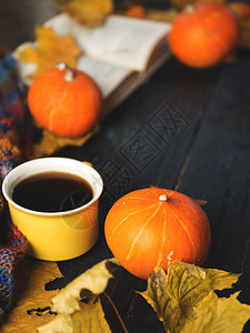 感恩节或季节假日的秋天背景咖啡杯南瓜和图片
