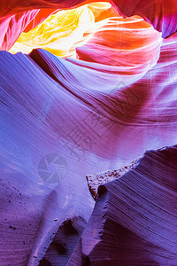 美国亚利桑那州Page附近纳瓦霍保留地的Antelope背景图片