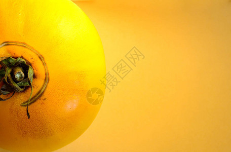 黄色背景上的半个黄色番茄概念秋图片