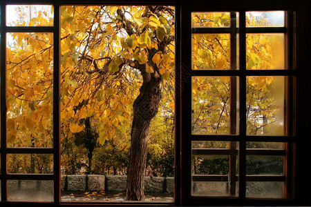透过窗户的秋天图片