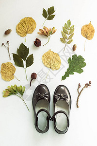 白色背景上的黑色儿童靴女孩的校服鞋与五颜六色的叶子的秋天flatla图片
