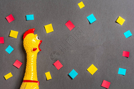 乌鸦的鸡或者叫声的玩具在黑暗背景上用彩色图片