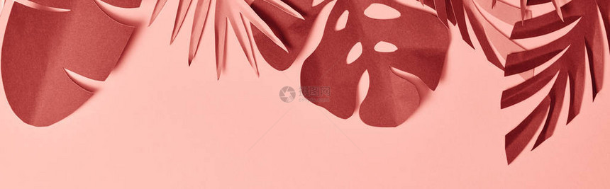 粉色背景上剪纸装饰粉色和勃艮第棕榈叶的全景照片图片