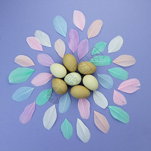 复活节背景紫罗兰色背景上橄榄蛋和柔色彩羽毛的复图片