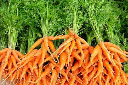 新鲜有机胡萝卜根植于市场的背景图片