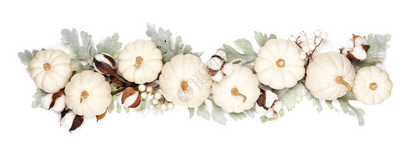 白南瓜和银叶的秋季边框白色背景上的顶端观光横图片