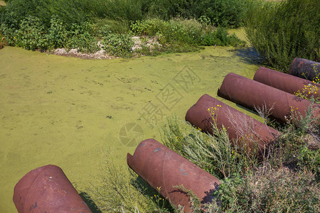生态灾难脏水环境污染问题排泄管道有毒分解藻图片
