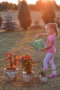 小女孩帮花盆里的花浇水图片