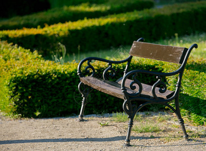 古典长椅在城市花图片