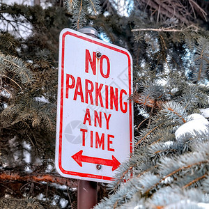 广场禁止停车标志反对在冬天有雪的针叶树模糊的叶子该标志禁止在该区域图片