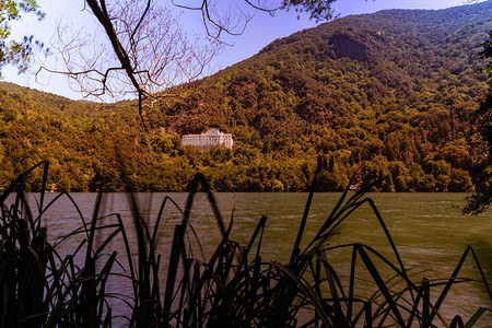 白天绿林湖图片