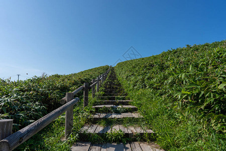 北海道神威岬的风景图片