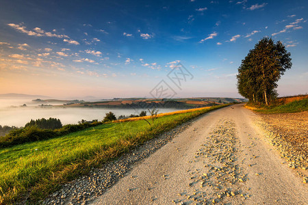 波兰乡下的农村道路图片