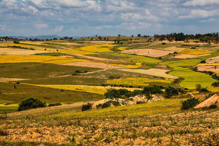 缅甸中部高原的田地展示出美丽的颜色图片