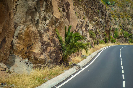 西班牙加那利群岛上公路的美图片