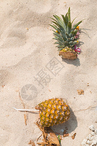 沙滩上的菠萝鸡尾酒图片