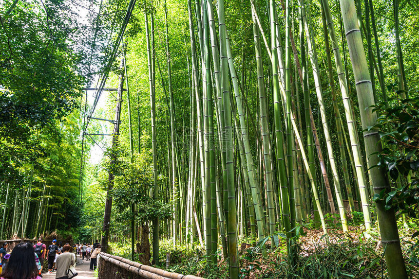 日本京都图片