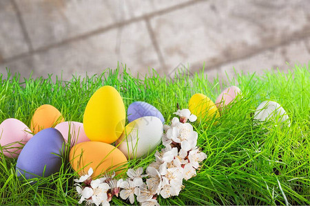 彩绘复活节彩蛋节日概念背景图片