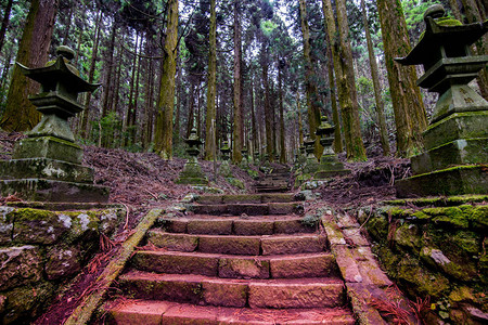 熊本在山中安静地作为动画的神社插画