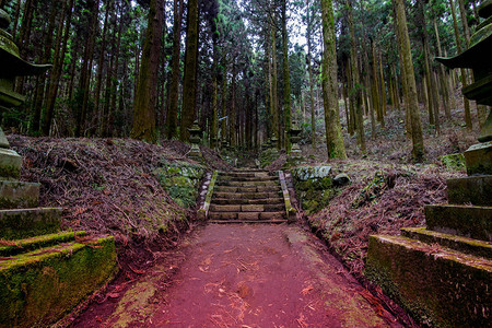 熊本在山中安静地作为动画的神社插画