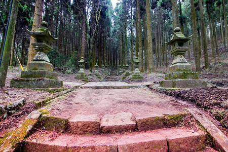 熊本在山中安静地作为动画的神社插画