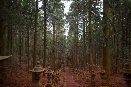 熊本在山中安静地作为动画的神社插画