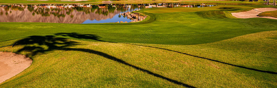 加州高尔夫球场绿图片