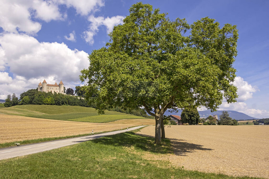 查看一条小路和一座城堡ChampventCastle是瑞士沃州Champvent市的一座城堡它是具有意图片