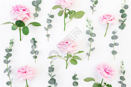 粉红玫瑰花和白色背景的雪花框架图片