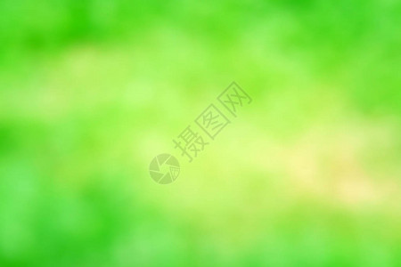绿色背景纹理夏天自然背景抽象夏天用于文本位置模图片