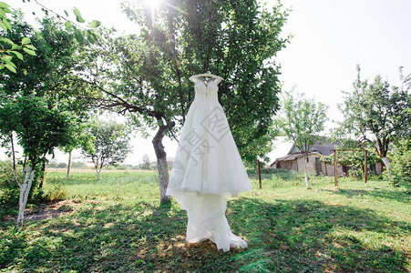 新娘的白色婚纱挂在花图片