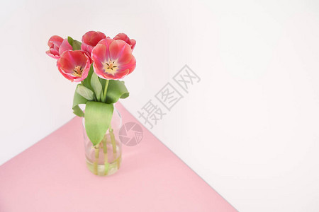 粉红色和白色背景的花瓶中图片